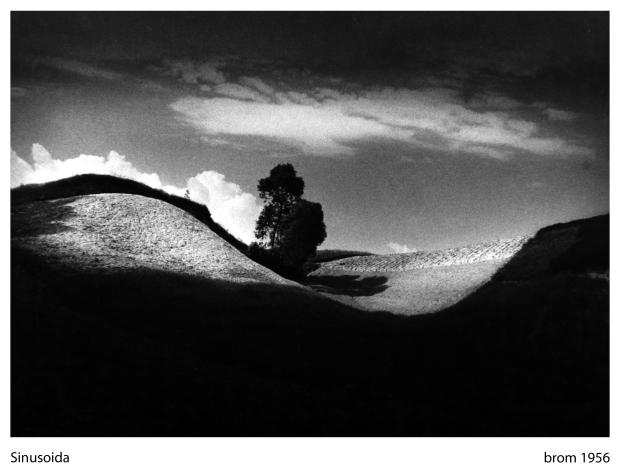 Paweł Pierściński – Fotografia - 1