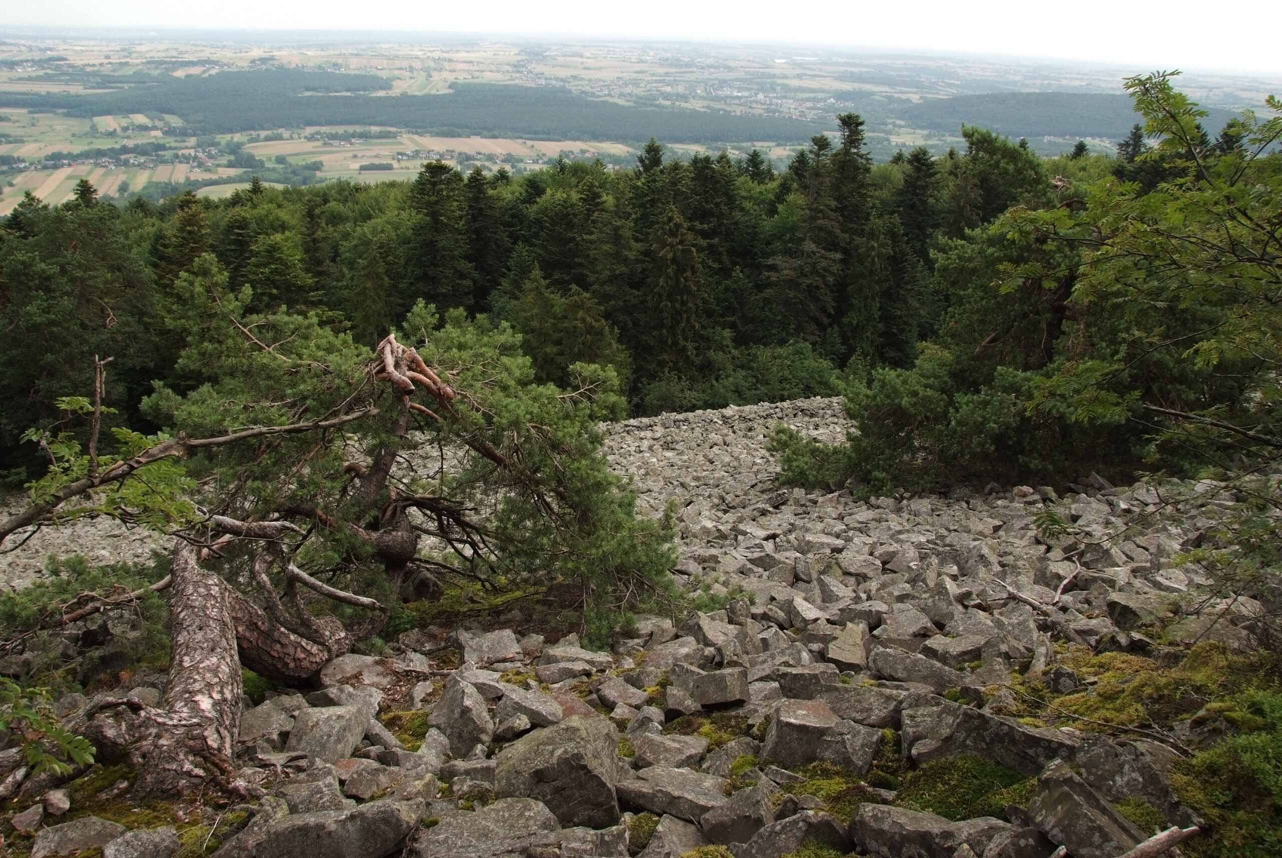 Konteksty: Gołoborze 2020/2021 - 1
