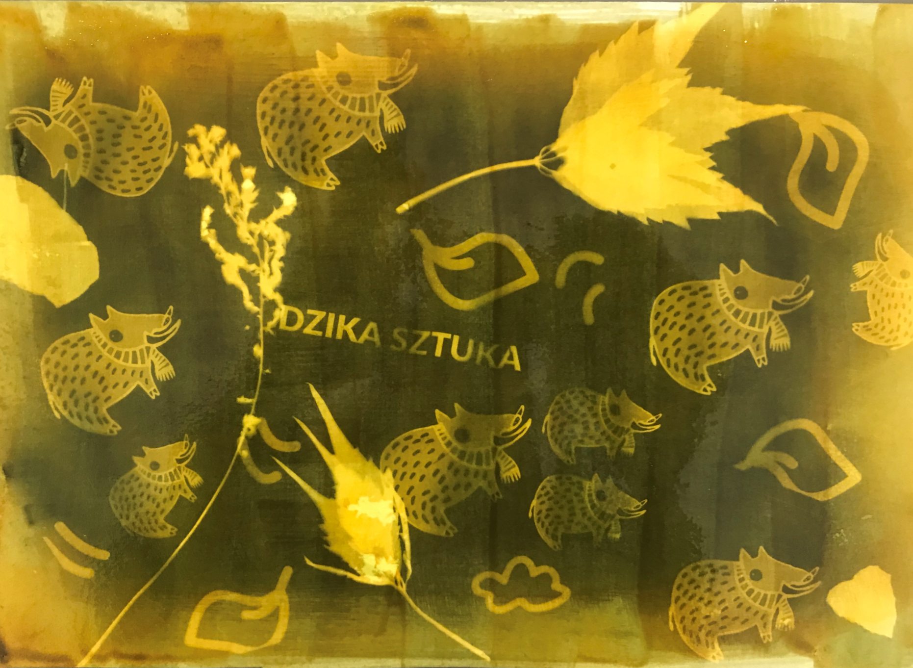 „Fotogramy i świetlne odbitki – odkryj magię światła!”