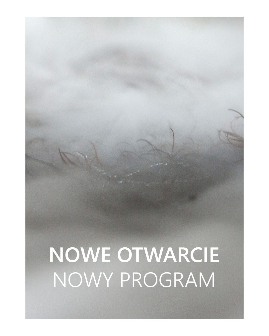 Co planujemy na 2026 rok?