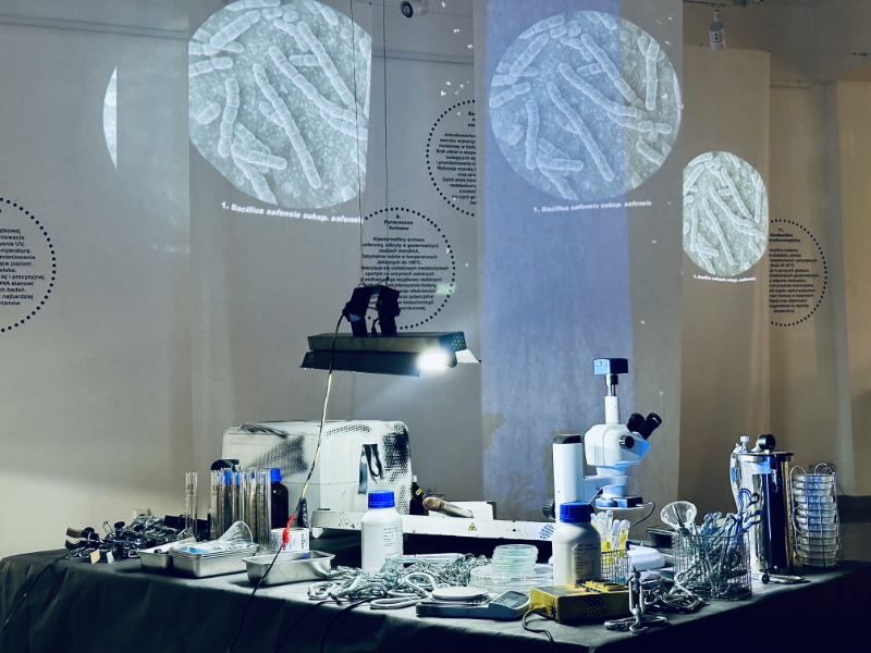 Czy po tej wystawie przez cały czas myślimy o sztuce tak samo? O kilku wątkach wystawy Elvina Flamingo #PierwszyKrokNaZiemi